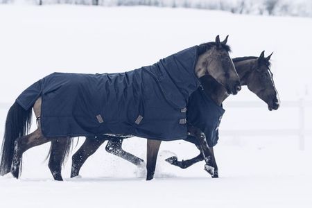 Kentucky Weidedecke all Weather 300 g, Winterdecke, Turnoutdecke, Outdoordecke