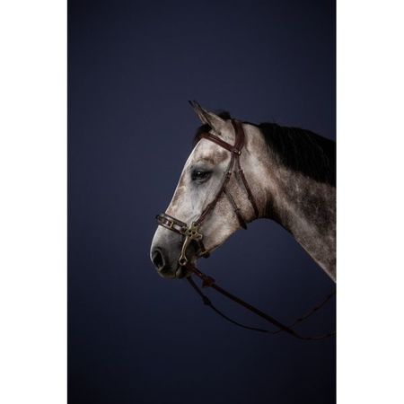 Trense für Hackamore