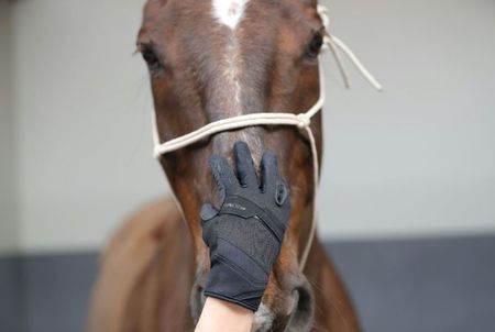 RACER® ,, Evolution´´ Trainingshandschuhe, Reithandschuhe