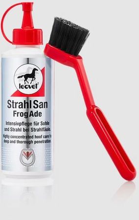 Strahlsan mit Pinsel