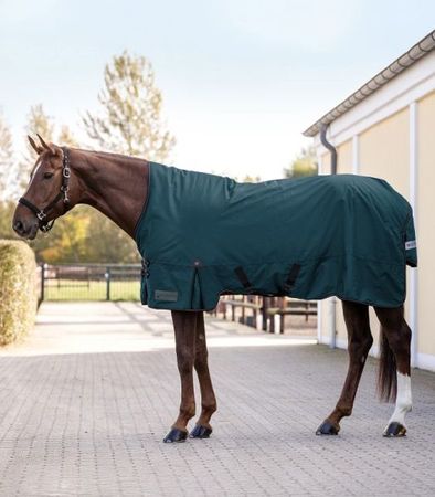 ARCTIC Outdoordecke, High Neck, 200 g, Weidedecke, Winterdecke, Outdoordecke