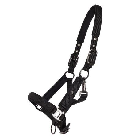 QHP Fohlen Halfter Deluxe, gepolstert Nylon verstellbar