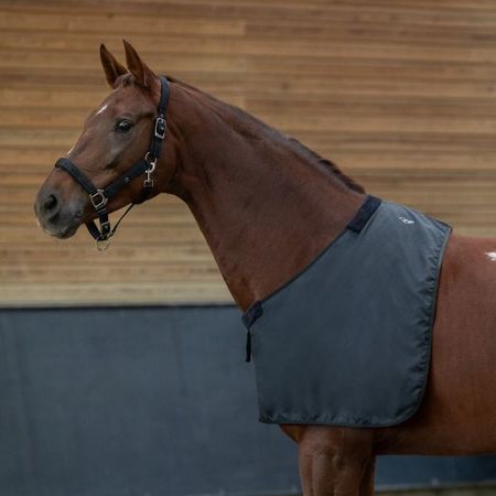 QHP Brustschutz Soft