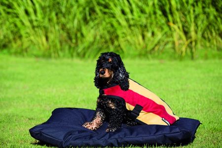 Rambo Deluxe Dog Rug 200g