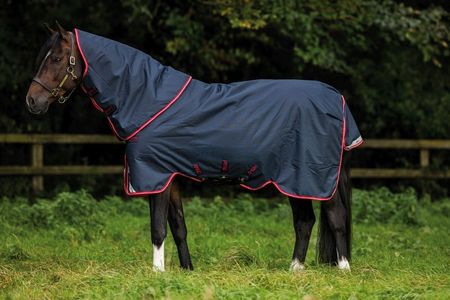 Amigo Bravo 12 Plus Turnout Med, 250g, Weidedecke, Winterdecke, Outdoordecke