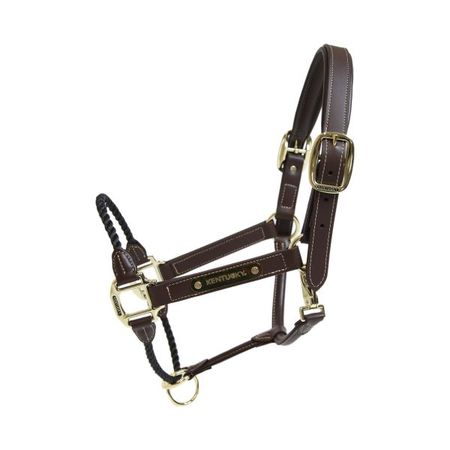 Leder Halfter rope