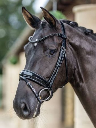 LeMieux Kudos Patent Dressage Bridle Trense