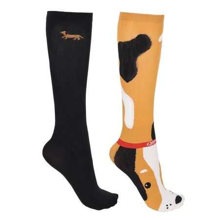 QHP Kniestrümpfe Geschenkbox Stable Buddy (2er-Pack)
