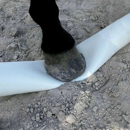 HIPPOTONIC Bodenstange – Flexibel