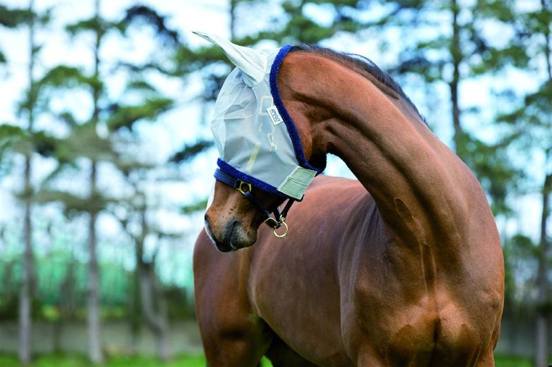 Amigo Finemesh Flymask