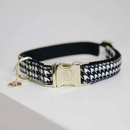 Kentucky Hundehalsband Pied-de-Poule