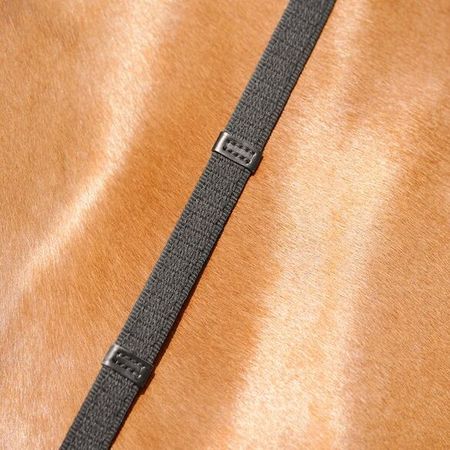 Passier Gurtzügel vorne rund