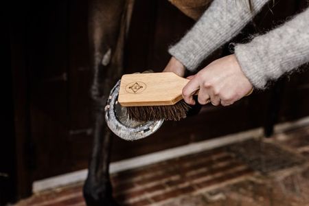 Grooming Deluxe Hoof Brush