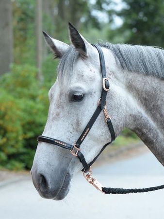 Halfter BREDA