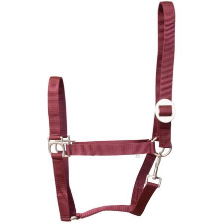 Halfter Nylon IRHEconomic