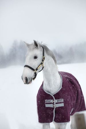 Amigo Hero Ripstop 200g, Winterdecke, Weidedecke, Outdoordecke