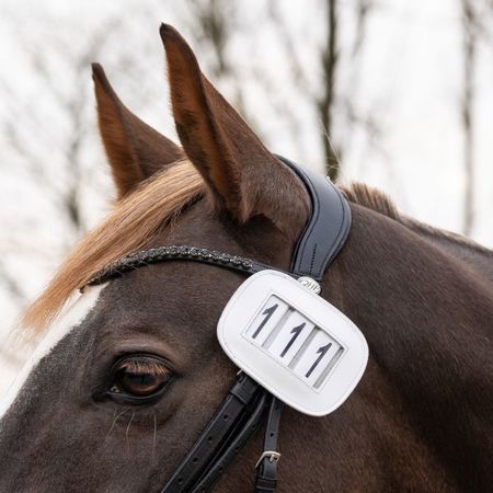 QHP Nummernhalter Modeste Square, Startnummer, Kopfnummer aus  Leder