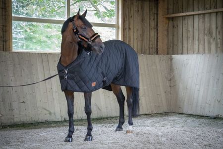 Paddock ,,PADDED´´Stalldecke 50g