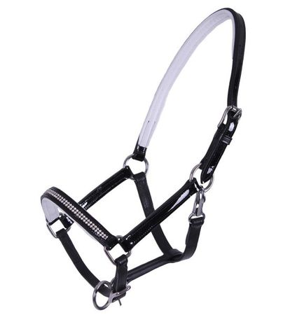 QHP Lederhalfter Fohlen Mimas