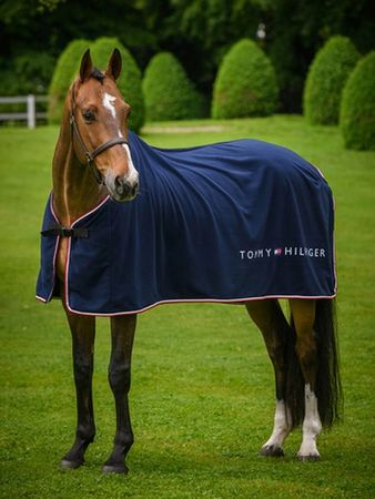 Tommy Hilfiger Statment Abschwitzdecke Fleece