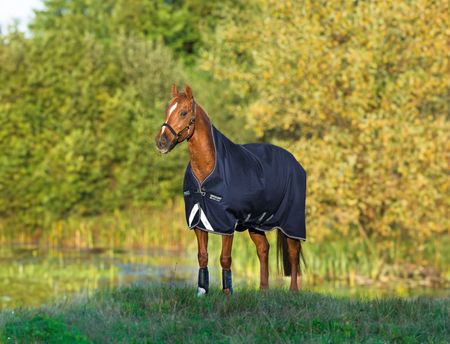 Amigo 900D Wug 50 g, Übergangsdecke, Weidedecke, Horseware