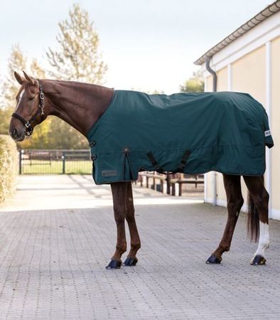 ARCTIC Outdoordecke, 100 g, Weidedecke, Winterdecke, Turnoutdecke