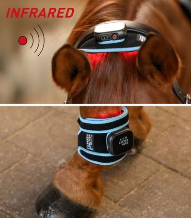 Waldhausen Health + Care Infrared FlexPad für Pferd