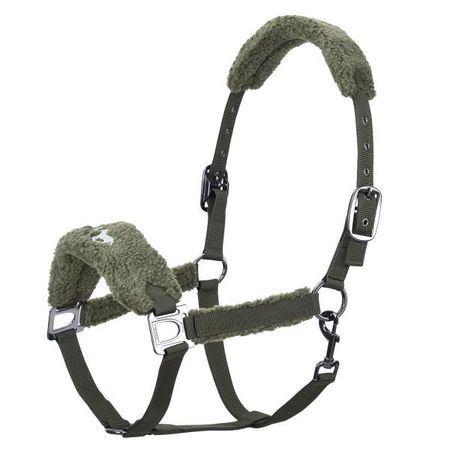 Halfter HVPTeddy von HV POLO