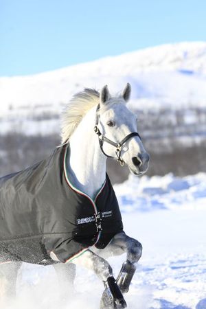 Rambo Original Medium 250g, Winterdecke, Weidedecke, Outdoordecke