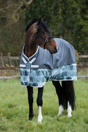 Amigo Hero 6 Turnout  0g Castle Rock Print