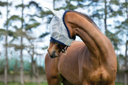 Amigo Finemesh Flymask, Fliegenmaske