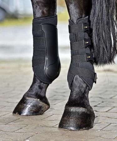 Busse Gamaschen Dressage - Pro, Dressurgamaschen, Fesselkopfgamaschen