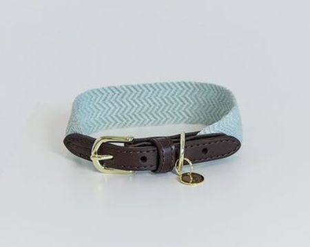 Kentucky Hunde Halsband Jacquard