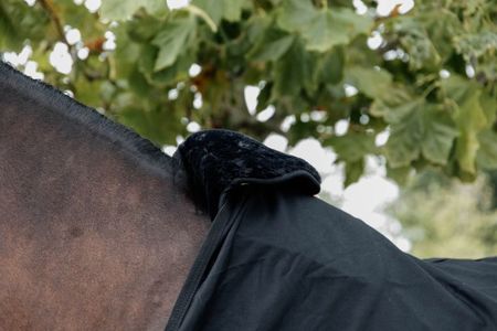Kentucky Horse Bib Widerrist-Schutz Fell