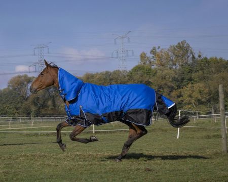 Equithéme TYREX 1200D ,,Aisance´´ Combo Decke 100g, Winterdecke, Pferdedecke, Weidedecke