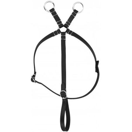 PONY ACADEMY - Mini Martingale