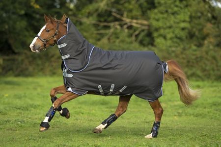 Amigo Bravo 12 Plus Turnout Med Disc Front, 250g, Weidedecke, Winterdecke, Outdoordecke