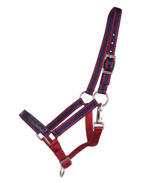 Halfter Fohlen Halfter Für Mini Shetty